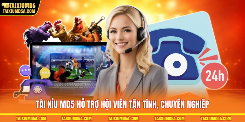 Tài xỉu MD5 hỗ trợ hội viên tận tình, chuyên nghiệp